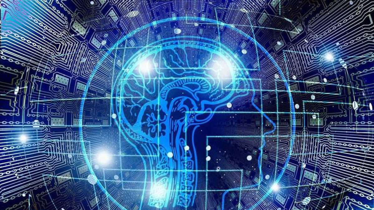 El cerebro es una fuente constante de información sensible.  DL