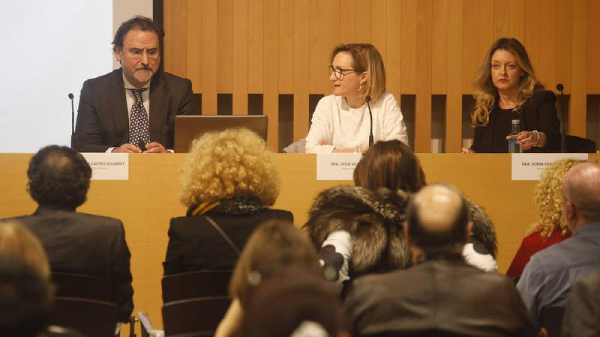 Un momento de la conferencia. RAMIRO