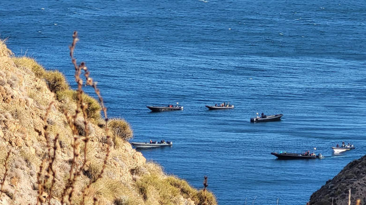 Imagen de varias narcolanchas en las aguas de Cádiz. AUGC