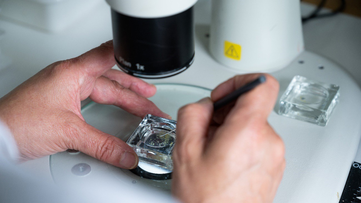 Trabajos de investigación en el CSIC, en una imagen de archivo.
