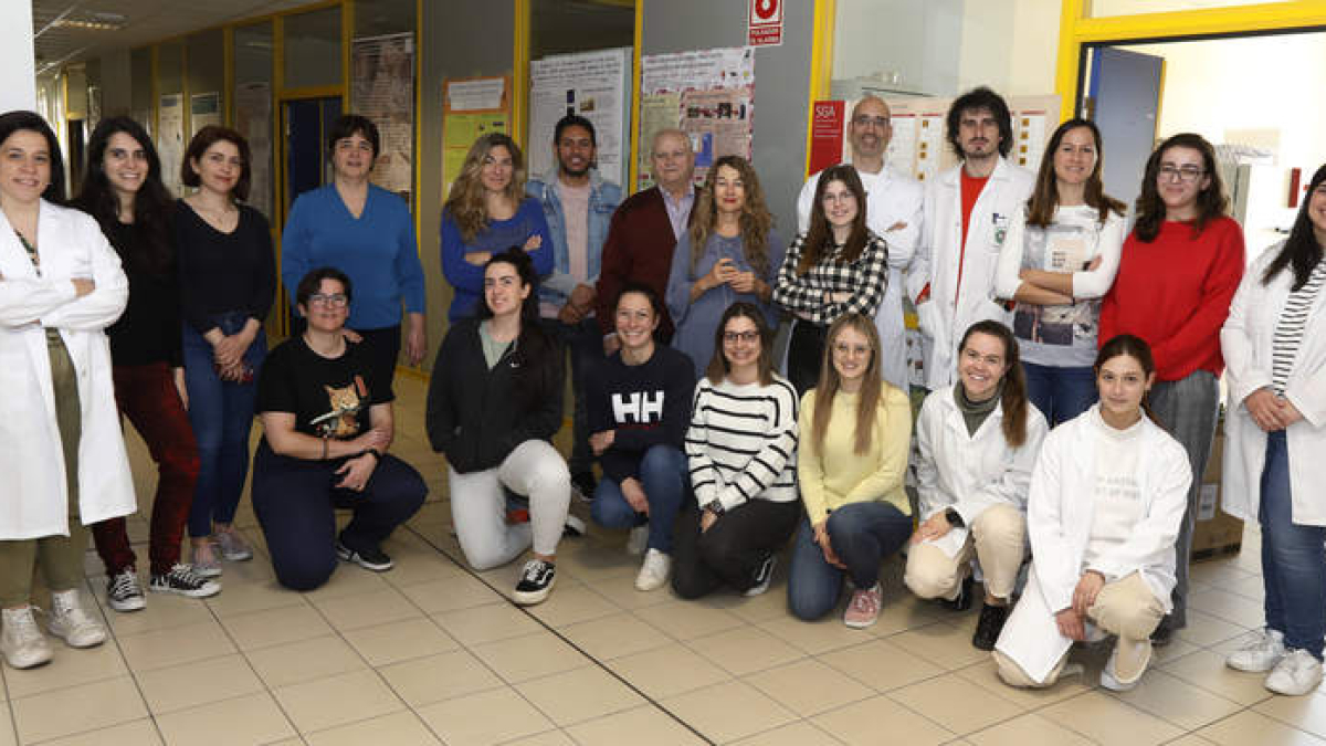 Indegsal, dirigido por Gracia Merino, reúne a más de 50 profesores e investigadores.  RAMIRO