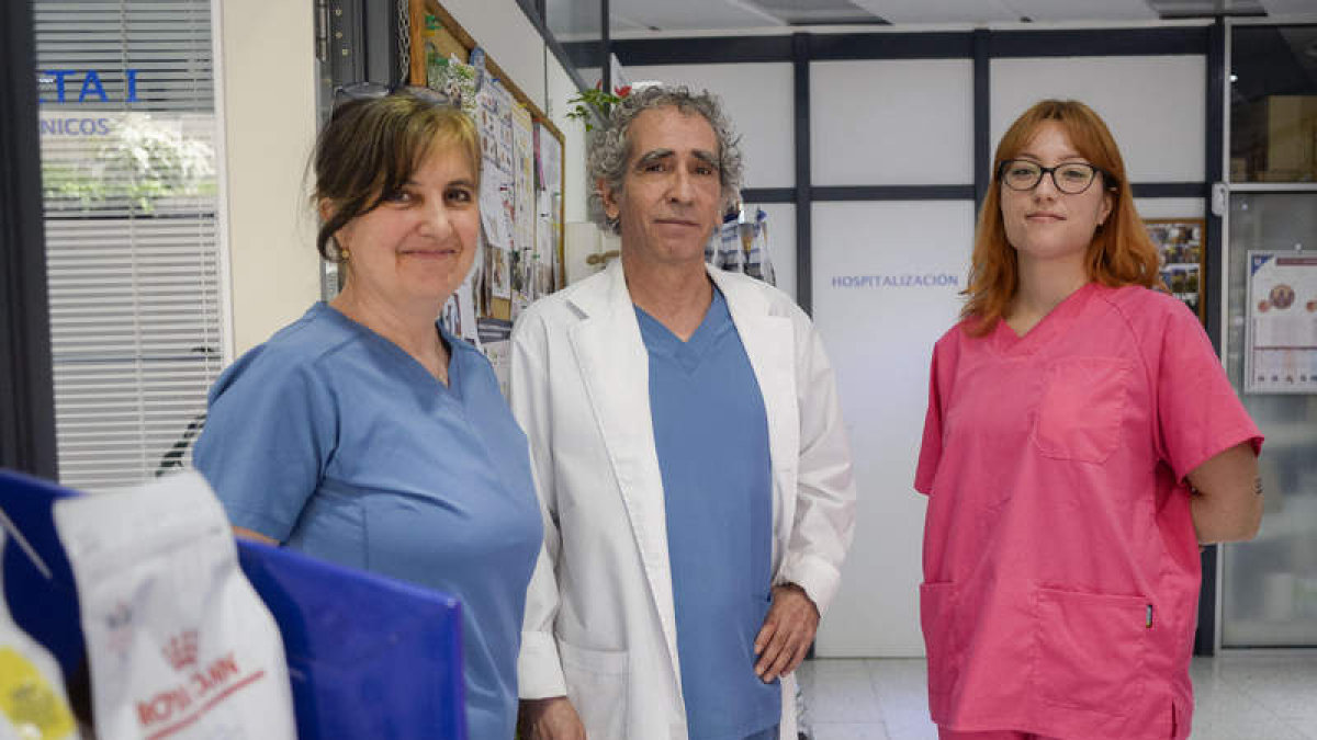 Ricardo Díez, junto al resto de su equipo en la clínica que dirige.  MARÍA FUENTES