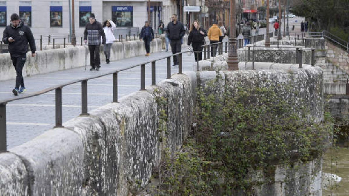 Al puente de San Marcos le ‘brota’ la maleza, que ahora la Comisión de Patrimonio permite eliminar. MARÍA FUENTES
