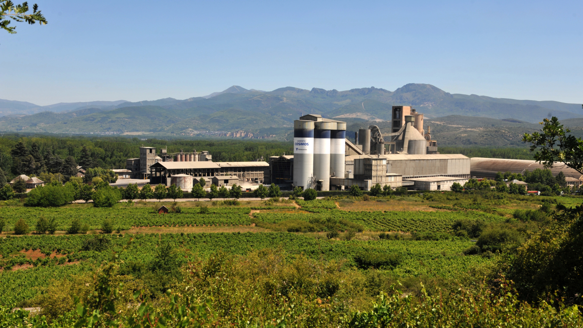 Imagen reciente de la planta de Cosmos en Toral de los Vados, en el Bierzo.