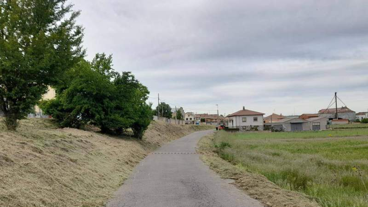 Uno de los tramos desbrozados por el Ayuntamiento de Astorga. DL