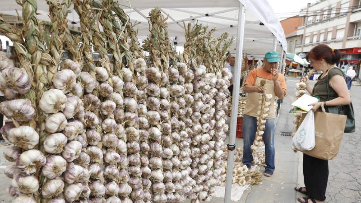 Expositores en una edición pasada de la Feria del Ajo de Veguellina.