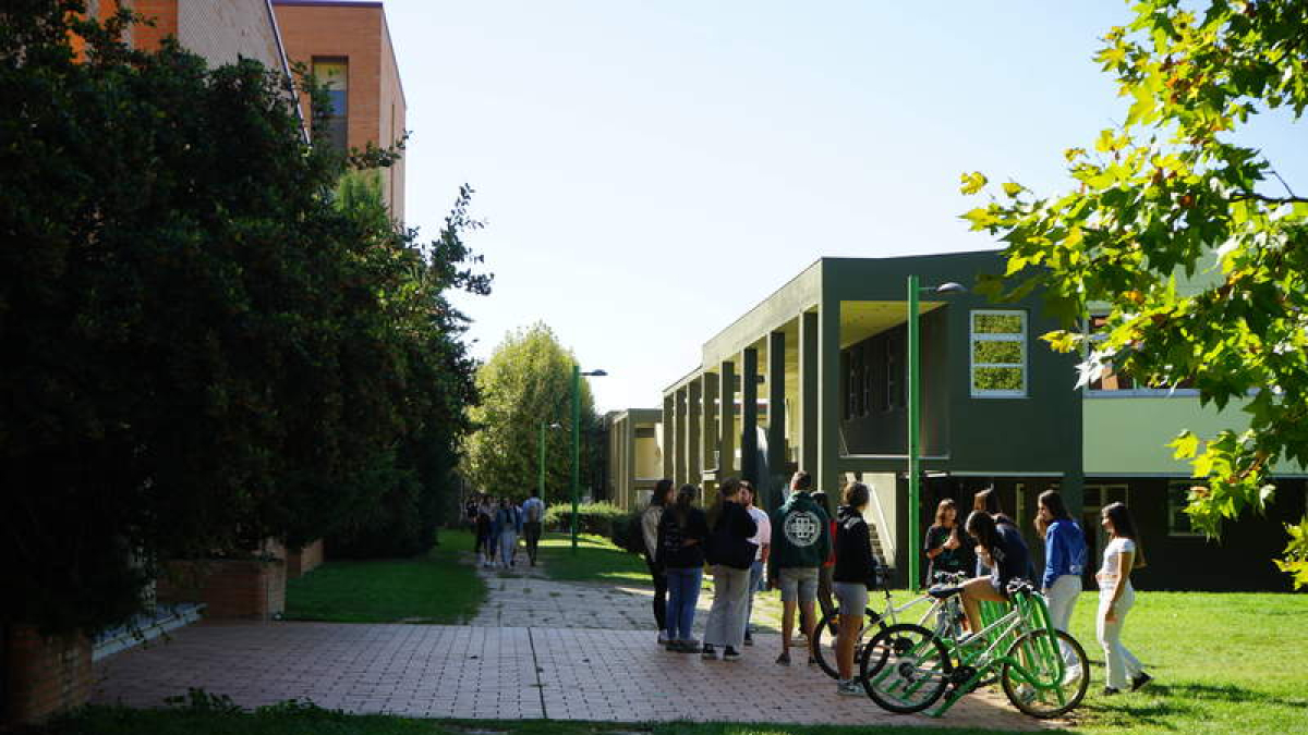 La Universidad de León cuenta con numerosos espacios para que los alumnos dediquen tiempo tanto a su estudio como a los trabajos que deben hacer en equipo. DL
