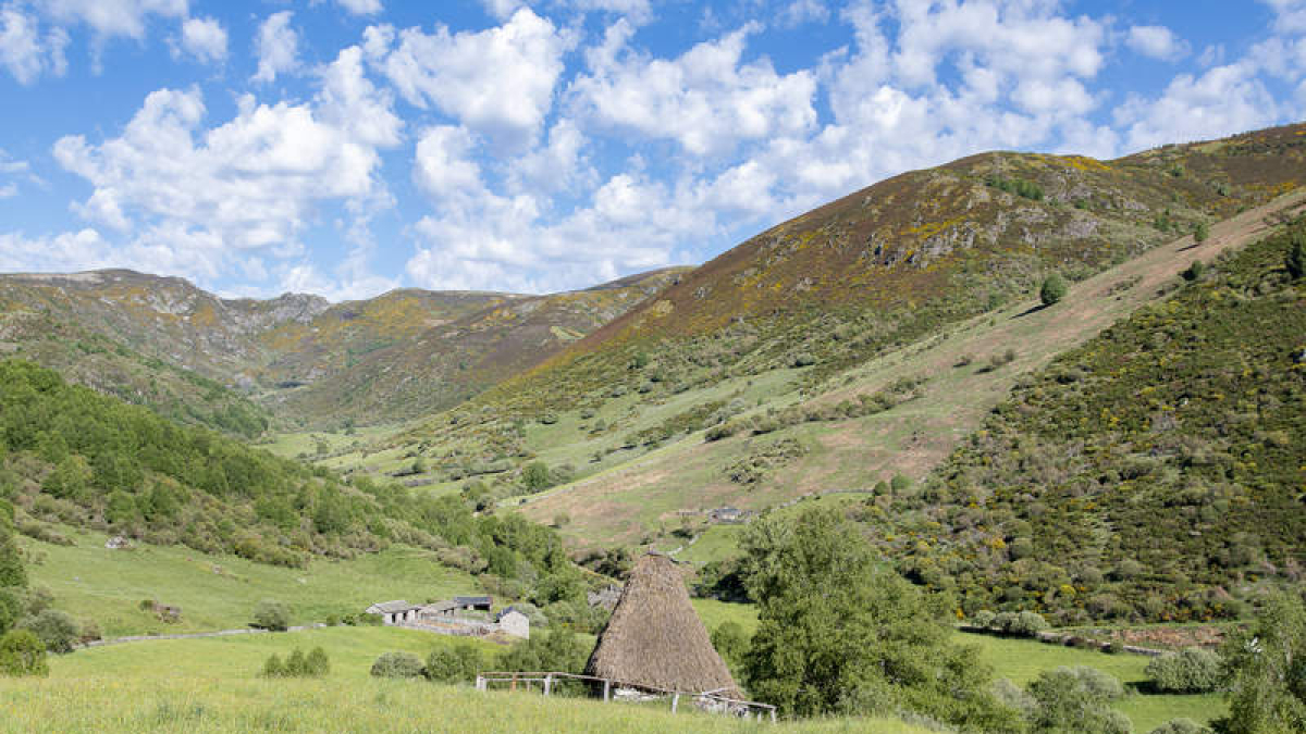 JESÚS FERNÁNDEZ CARRO