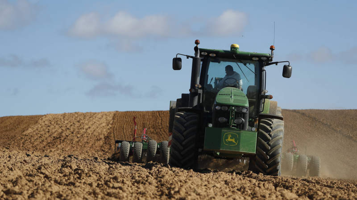 Labores agrícolas en Carbajal de Fuentes