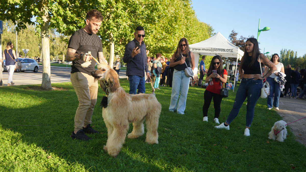 MásQPerros organiza un año más la gran fiesta de los perros, esta vez coincidiendo con la primavera.