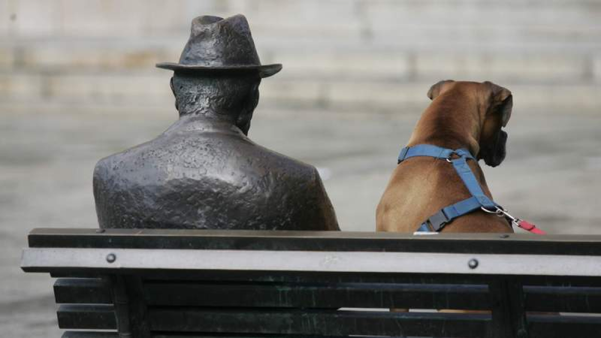 Las mascotas, sus dueños y los profesionales veterinarios serán los protagonistas en León.
