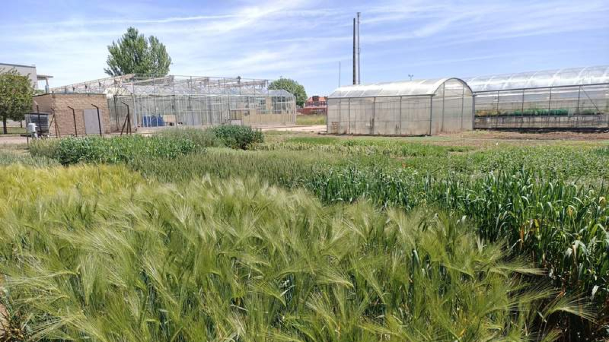 La Escuela de Ingeniería Agraria y Forestal de la Universidad de León cuenta con unas amplias instalaciones. DL