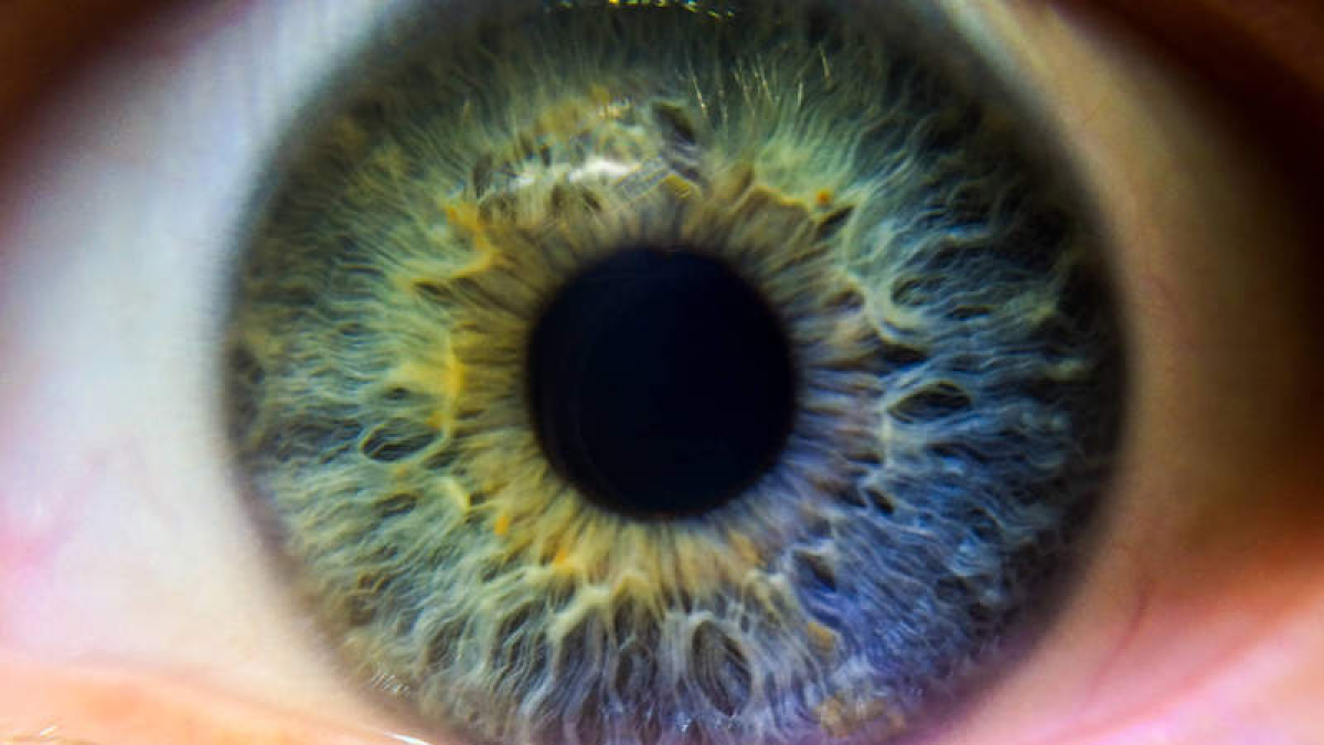 Imagen de un globo ocular con el detalle de las improntas que dibujan sus valles característicos.  DL