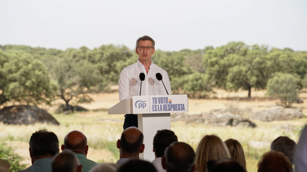 Imagen de Alberto Núñez Feijóo en un mitin.