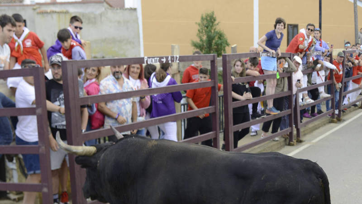 ACACIO DÍAZ