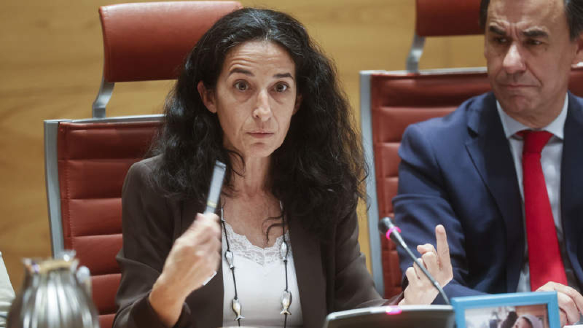 La madre del niño Gabriel, Patricia Ramírez, ayer en el Senado. FERNANDO ALVARADO