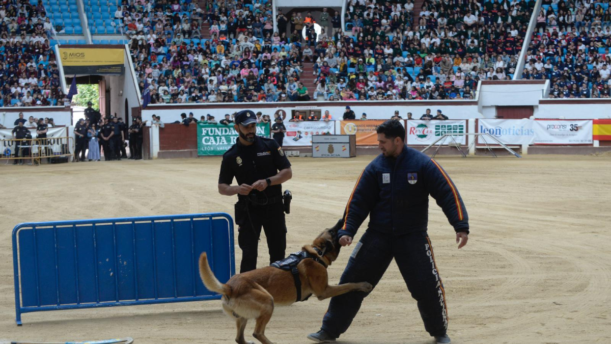 Los guías caninos dejaron momentos muy espectaculares.