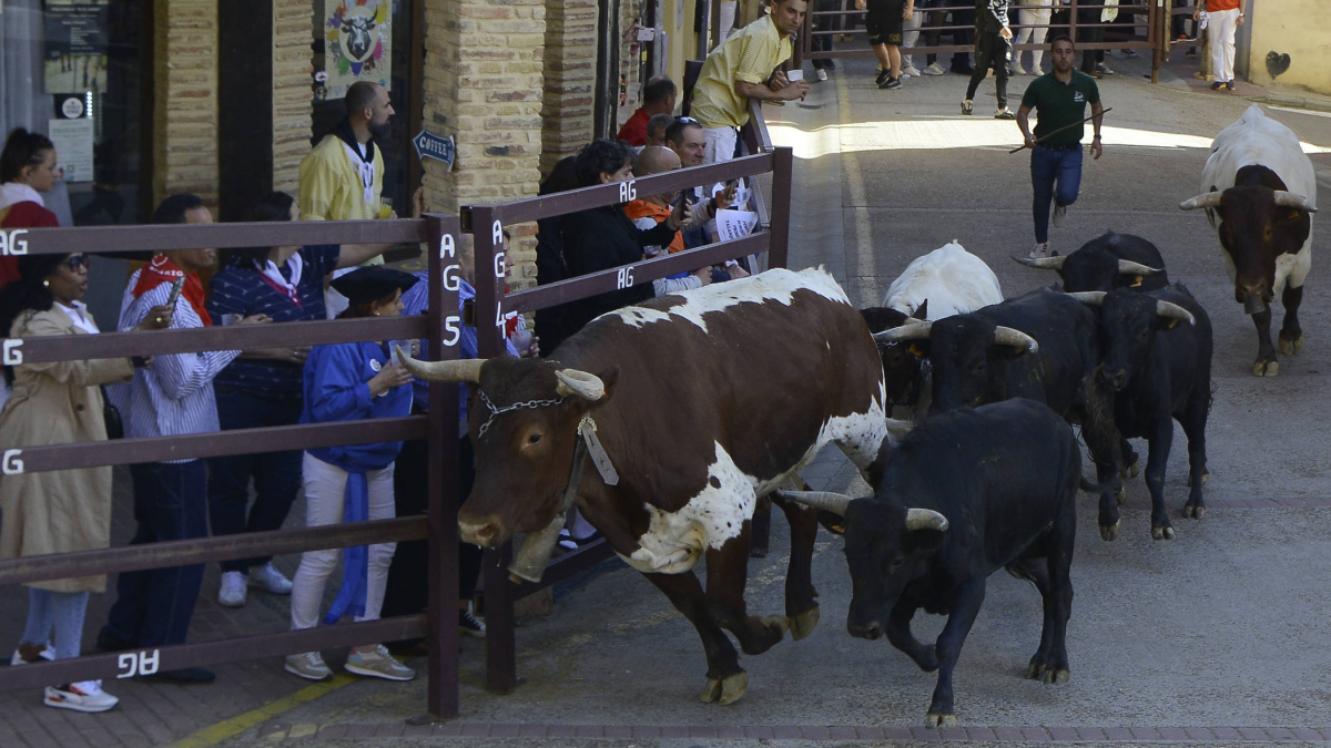 El día grande de Sahagún.