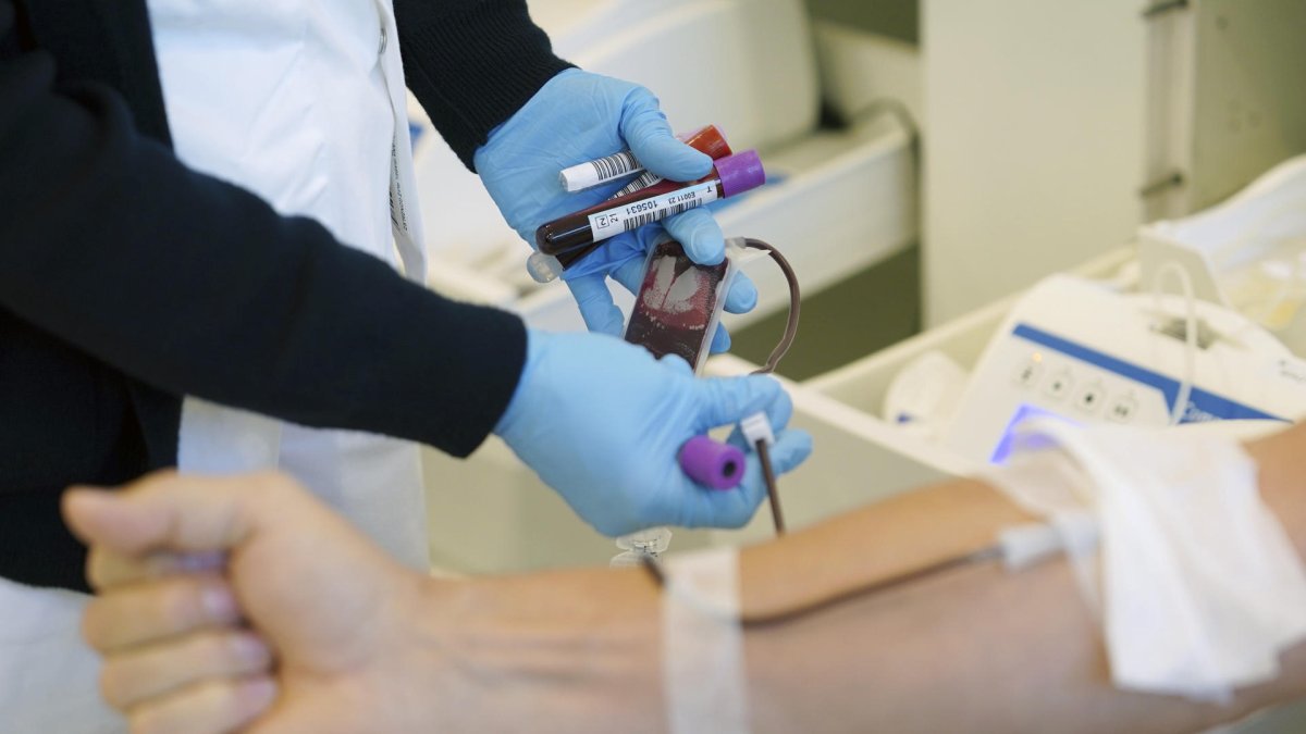 Imagen de archivo de una donación de sangre. EFE/Nacho Gallego
