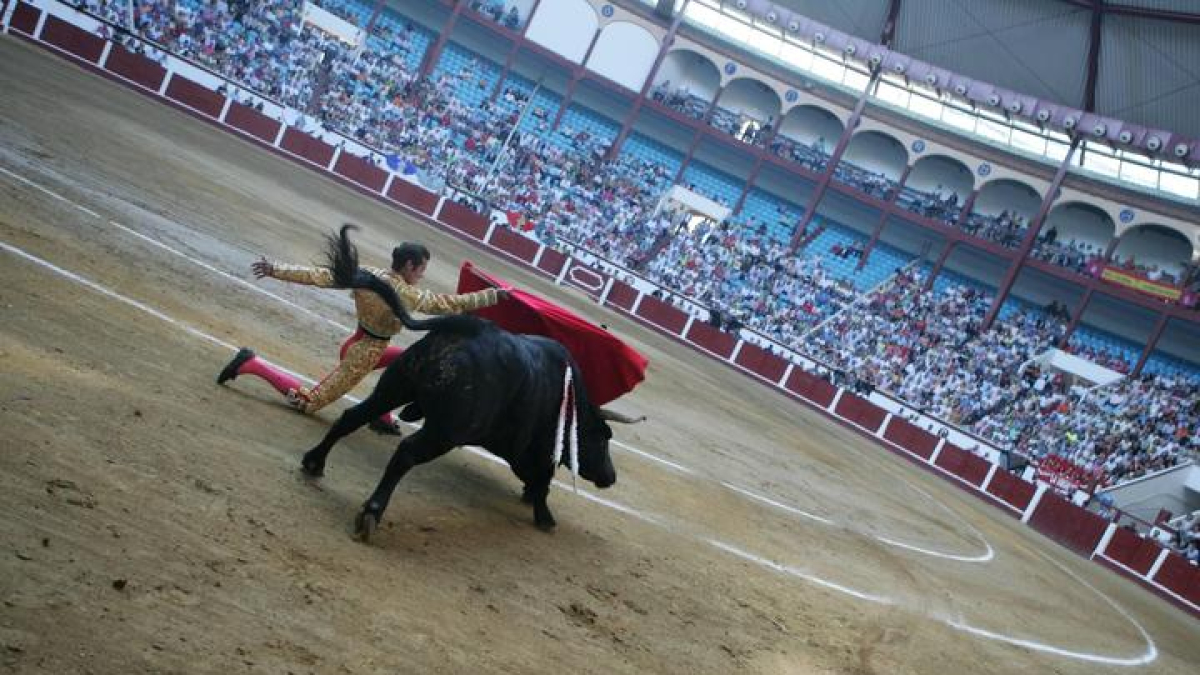 Plaza de toros del Parque, durante la feria de San Juan.