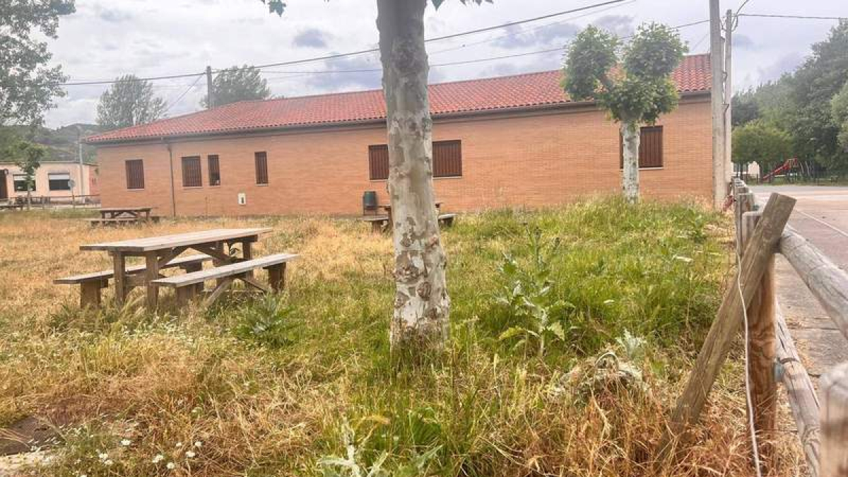 La maleza se ha apoderado de este área.  DL