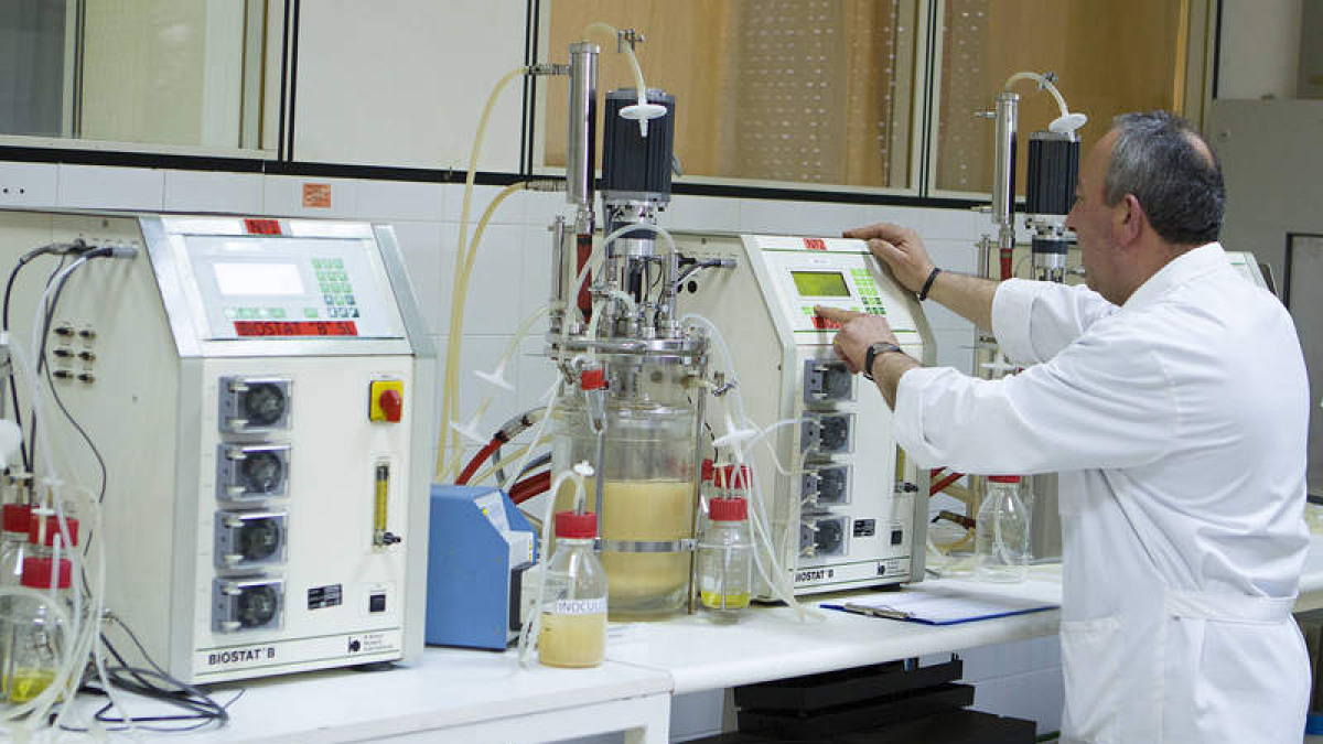 Uno de los trabajadores de Inbiotec cuya plantilla está integrada actualmente por once personas.  DL