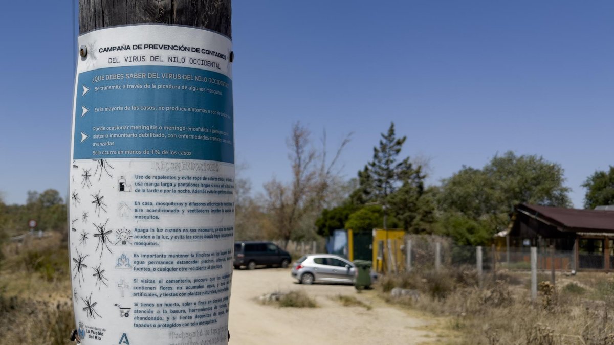 Cartel informativo de mosquitos transmisores del virus del nilo en una imagen de archivo. EFE/ David Arjona