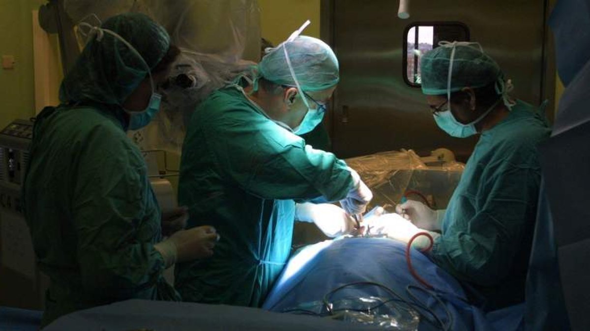 Los cuatro procesos con mayor número de pacientes fueron cataratas, artrosis de rodilla, hernia inguinal y deformaciones en manos y pies.  DANIEL