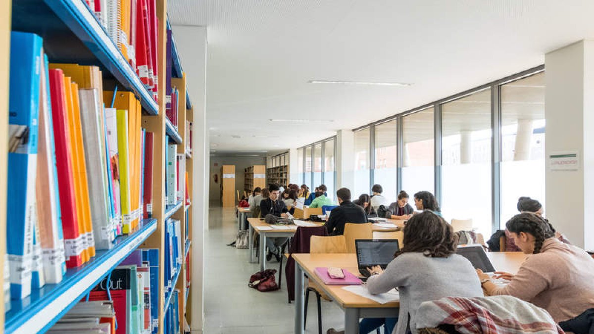 Universitarios en una de las bibliotecas del Campus de Vegazana. DL