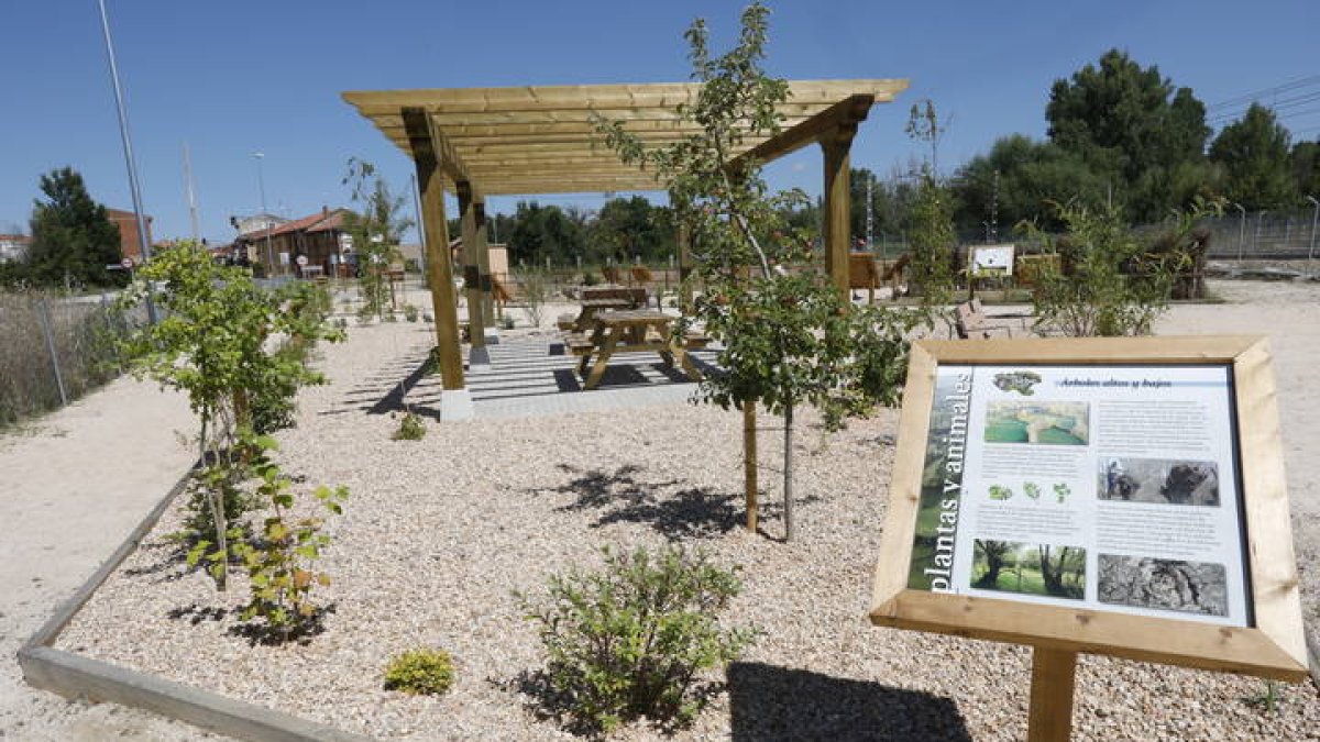 Los elementos expositivos están realizados con materiales ecológicos de larga duración. Hay carteles con los nombres de las plantas, imágenes y textos.
