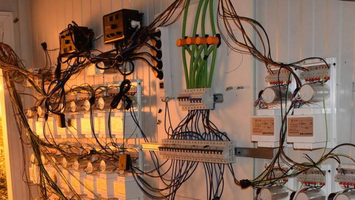 Enganches ilegales en una plantación de marihuana en la que intervino la Policía Nacional.  ICAL