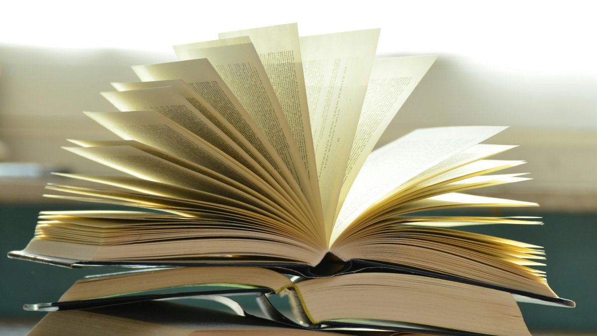 Imagen de archivo de unos libros.