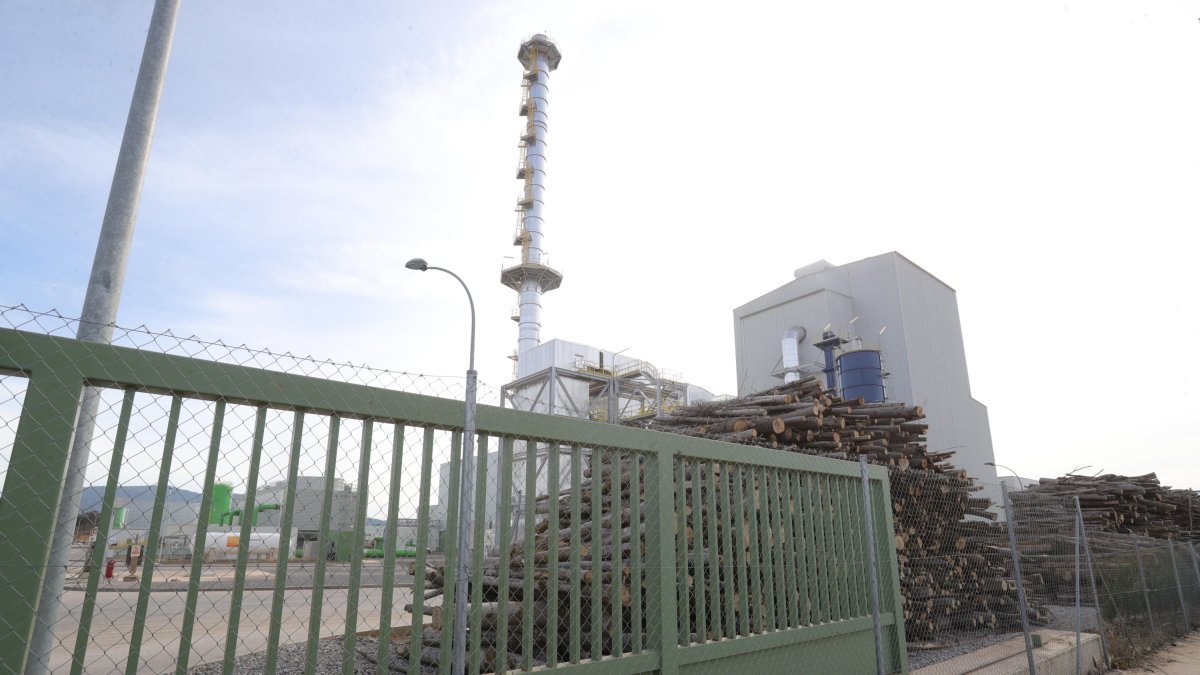 Imagen de archivo de las instalaciones de Forestalia en El Bayo.