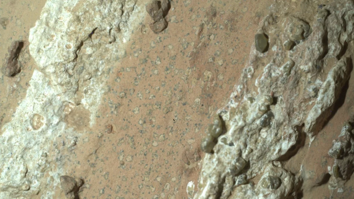 El rover Perseverance de la NASA descubrió “manchas de leopardo” en una roca rojiza apodada