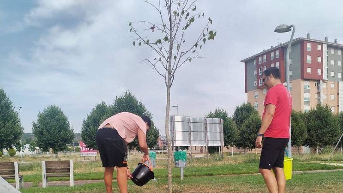 Los vecinos de La Lastra salieron este domingo con calderos a regar los árboles. DL