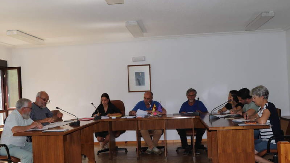 Pleno del Ayuntamiento de Crémenes. CAMPOS