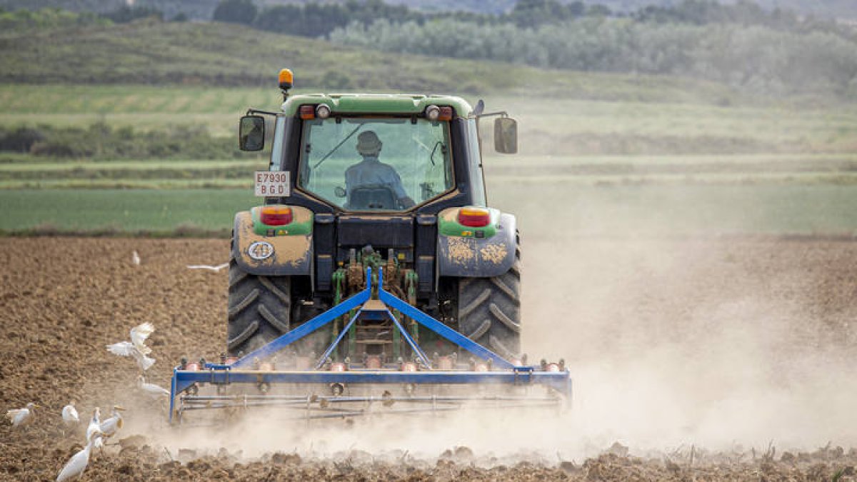 Un agricultor labra con tractor la tierra, donde la escasez de lluvias y las altas temperaturas provocan una gran polvareda