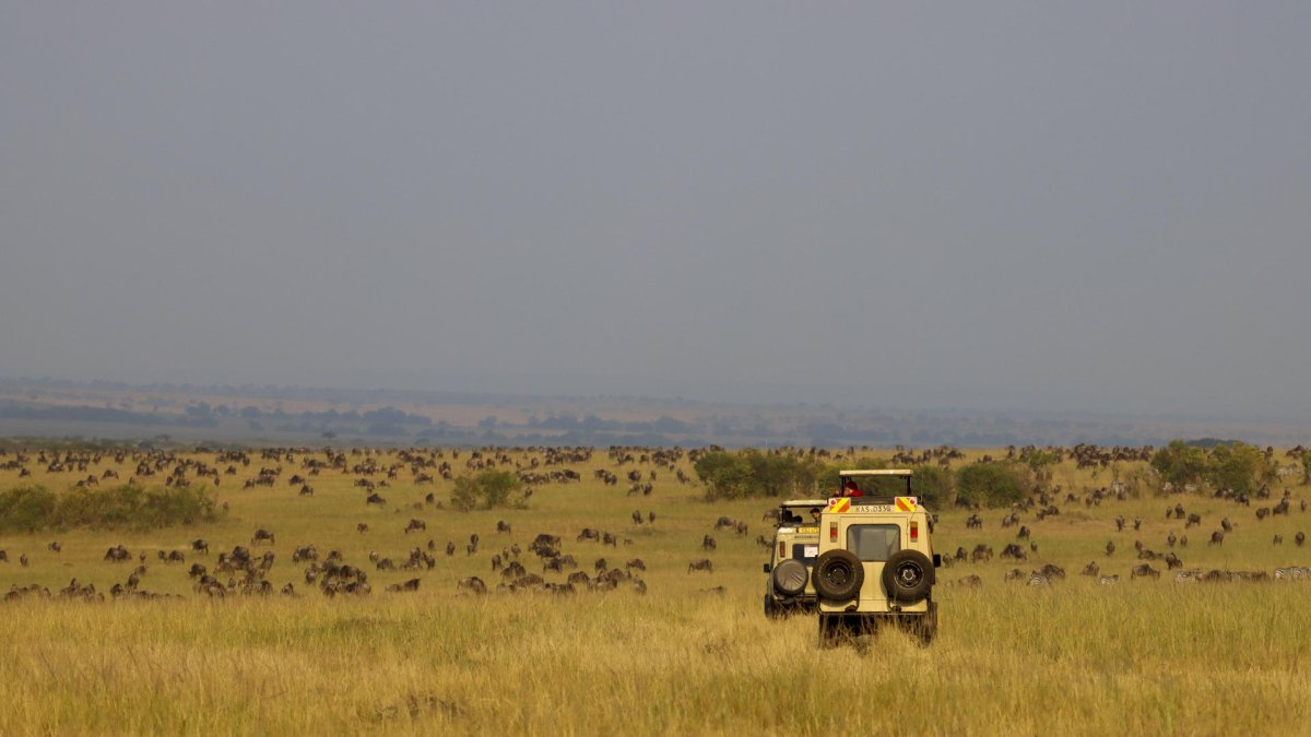 Imagen de archivo de varios coches de safari en la sabana del Masái Mara (Kenia) para observar la migración anual de miles de ñus procedentes del Serengueti, en Tanzania. EFE/ Mercedes Ortuño Lizarán