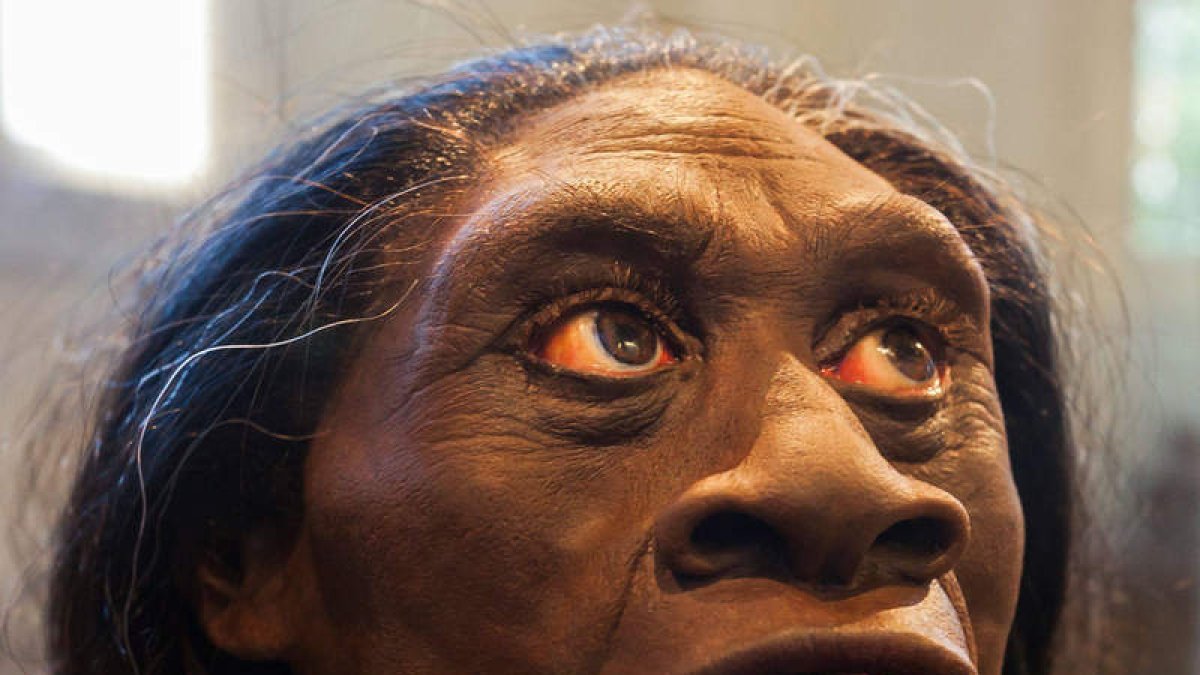 Reproducción del Homo floresiensis o ‘Hobbit’ de Flores. DL