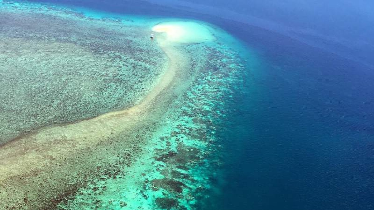 Imagen aérea de la Barrera de Coral australiana.  EFE