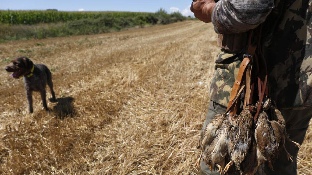 La media veda levantará el telón el próximo 15 de agosto en Castilla y León. FERNANDO OTERO