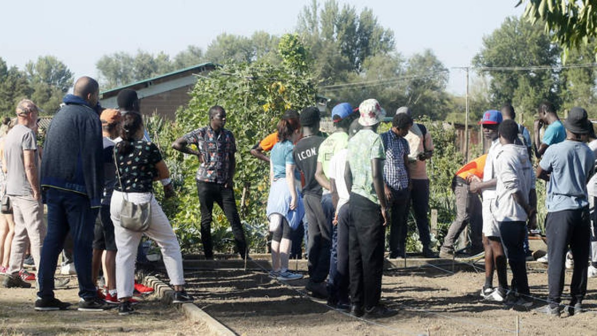 Los refugiados acuden tres días a la semana a aprender horticultura en los huertos de La Candamia. ÁNGEL LÓPEZ