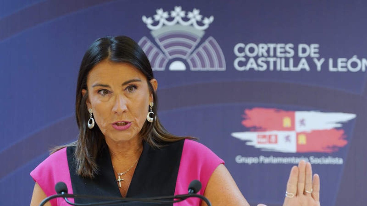 La portavoz socialista en las Cortes, Ana Sánchez.  NACHO GALLEGO
