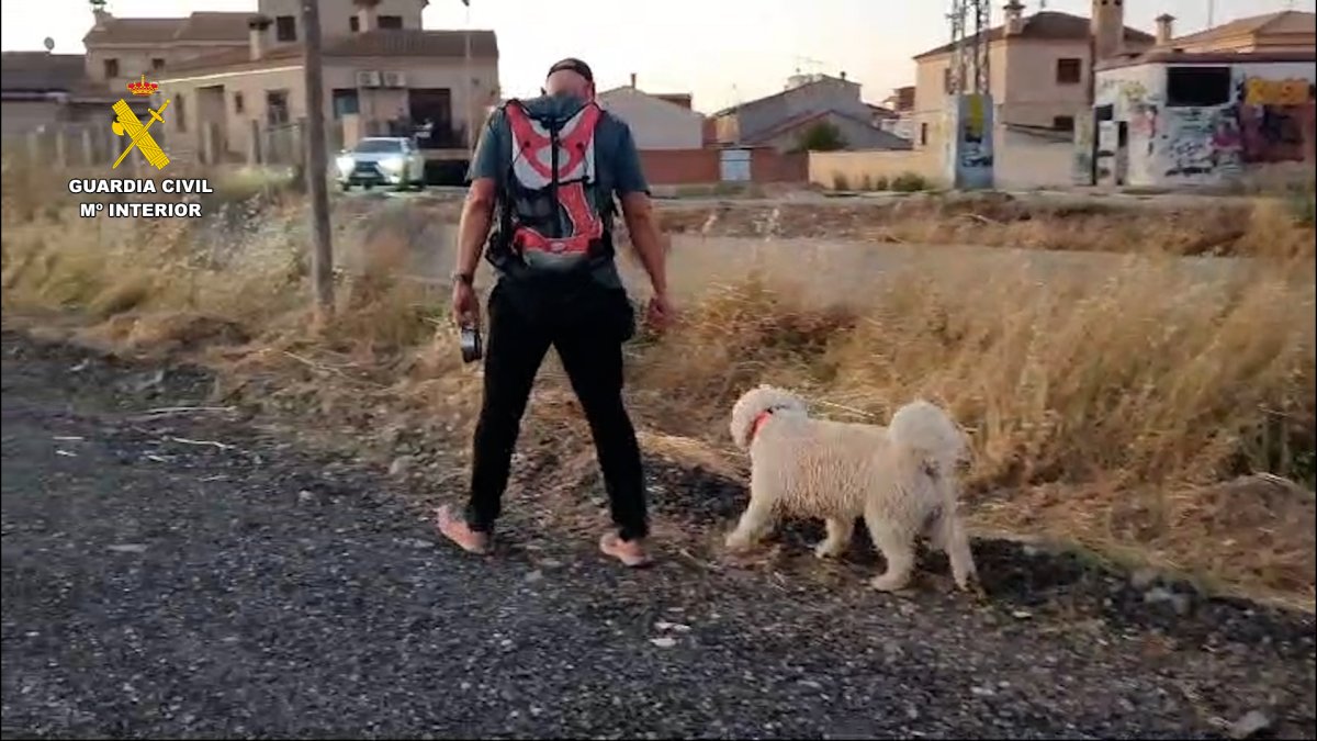 Efectivos de la Guardia Civil durante las labores de búsqueda del arma homicida.