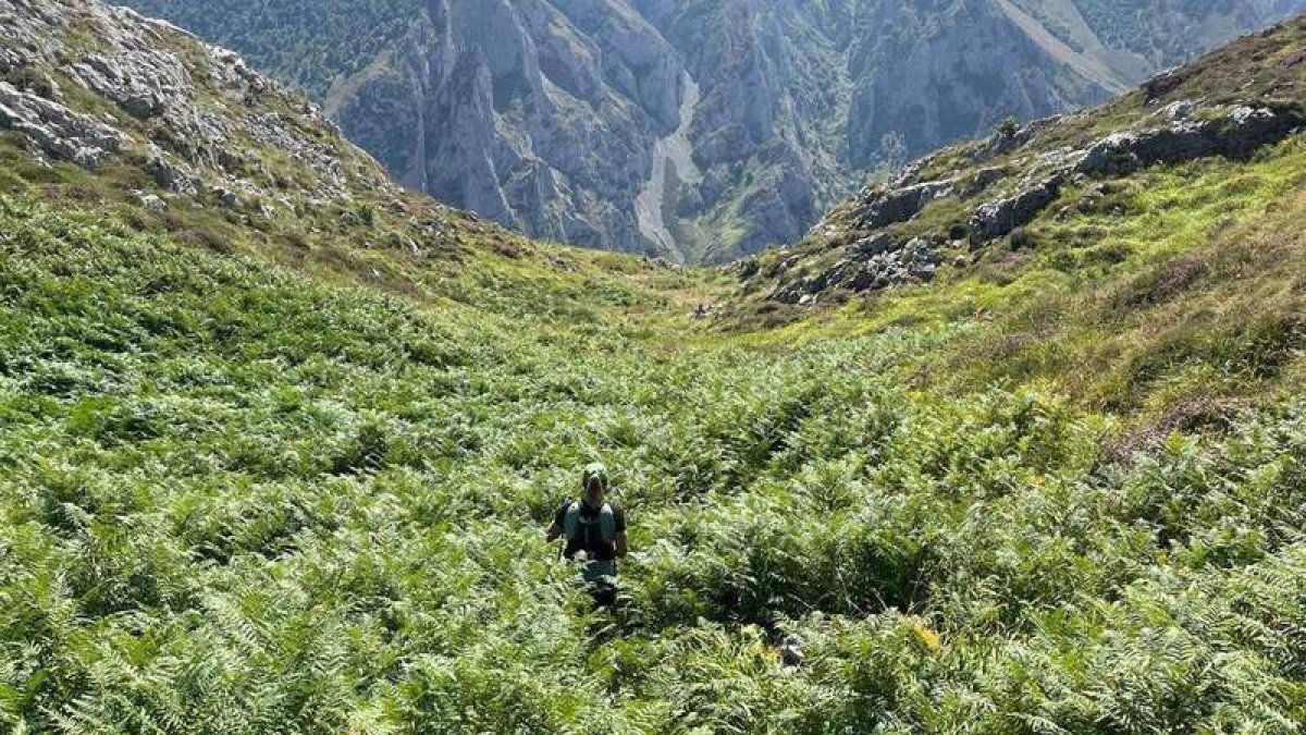 Los 15 parques naturales más atractivos de toda Europa, uno en León