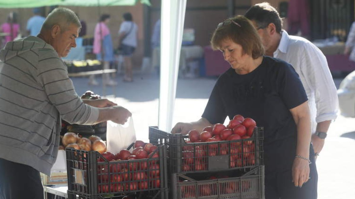 La gente comprando tomates en la feria. ÁNGELOPEZ