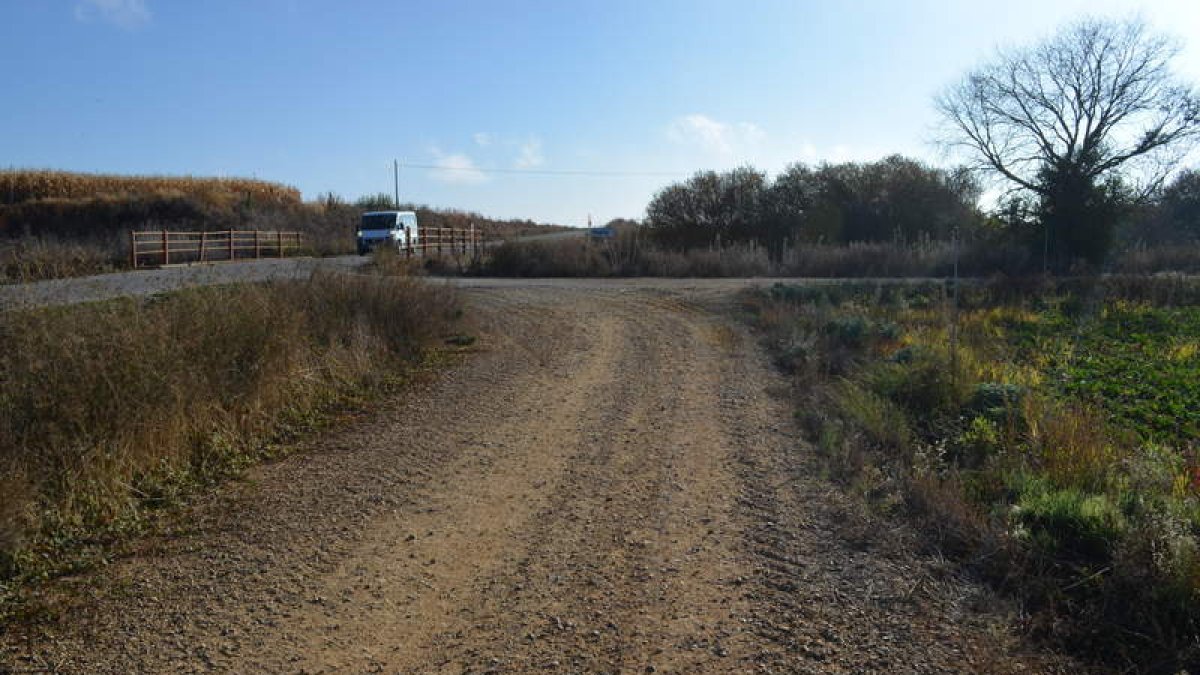 Destaca que son de vital importancia para los agricultores. MEDINA