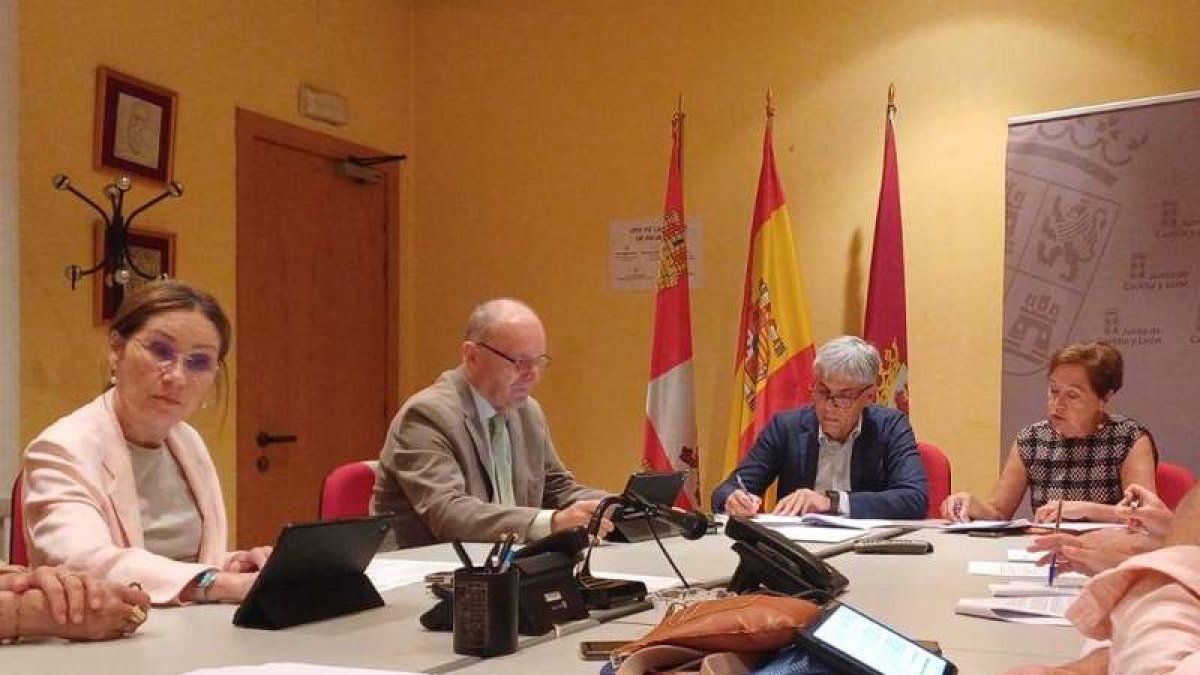 La reunión se celebró este viernes en la Sala de Juntas de la Delegación Territorial de León. DL