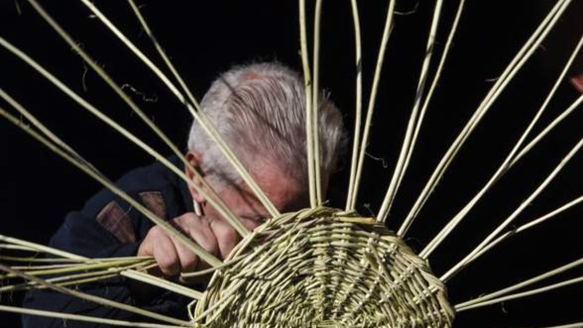El mimbre radiante. P. LOZANO Y M. SÁNCHEZ