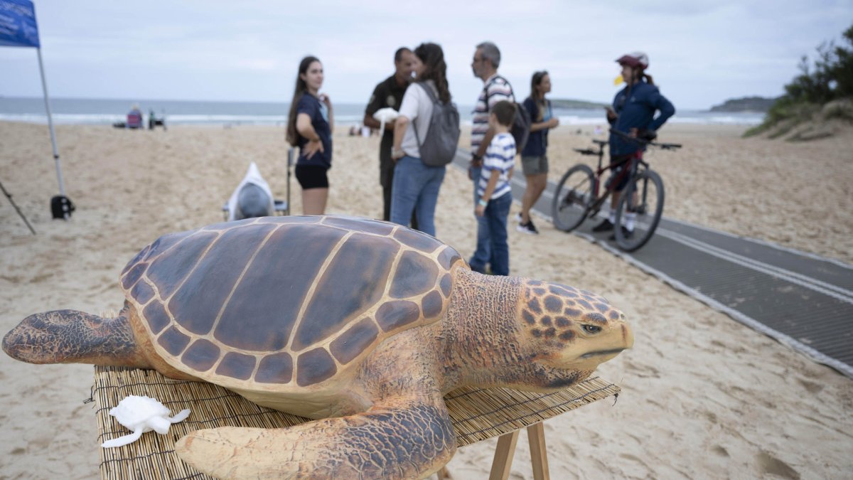 Un puesto situado en la playa de Somo de la Red de Varamientos del Gobierno de Cantabria (ReVarCa) para concienciar a la población de la importancia de llamar a los servicios de emergencia en caso de encontrar un animal varado y también para informar de los peligros que conlleva actuar de manera incorrecta. EFE/Pedro Puente Hoyos